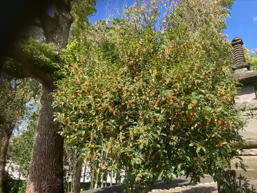 吉祥院(東京都)