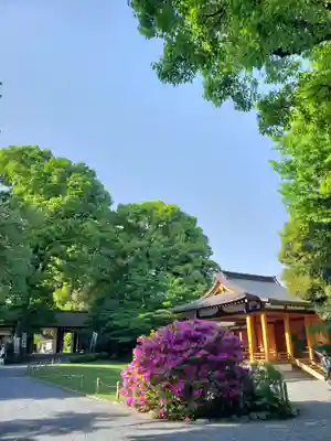 阿佐ヶ谷神明宮(東京都)
