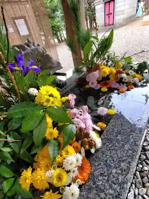 滑川神社 - 仕事と子どもの守り神の手水舎