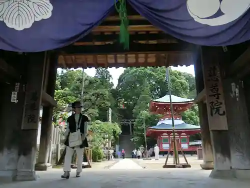 慈尊院の山門・神門