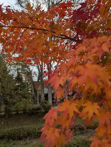 淺間神社（忍野八海）(山梨県)