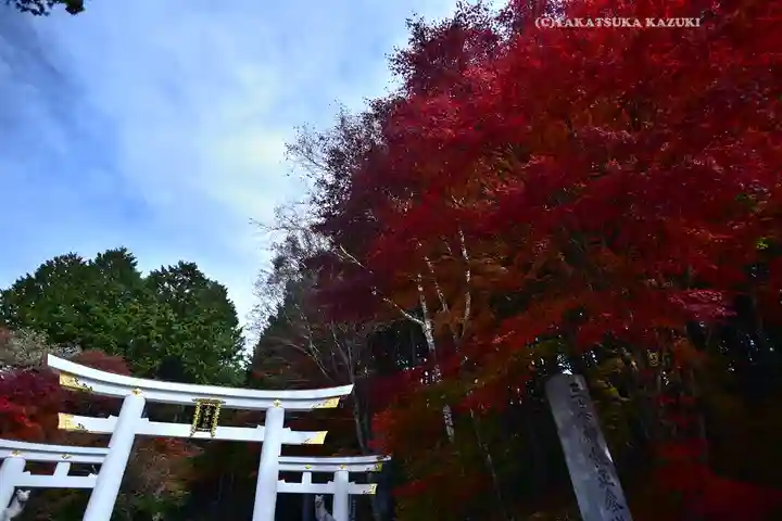 三峯神社(埼玉県)