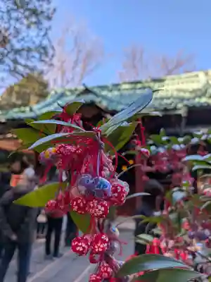 赤坂氷川神社(東京都)