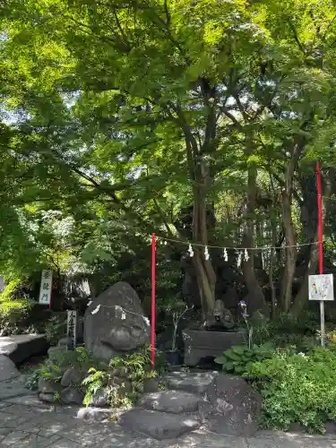 渋川八幡宮の{uncategorized: "未分類", other: "その他", undefined: "問題あり", building: "その他建物", grave: "お墓", sacred_gate: "鳥居", guardian: "狛犬", statue: "像", buddha: "仏像", history: "歴史", nature: "自然", garden: "庭園", animal: "動物", pagoda: "塔", temizu: "手水舎", mountain_gate: "山門・神門", sanctuary: "本殿・本堂", subordinate: "末社・摂社", art: "芸術", scenery: "景色", jizo: "地蔵", ema: "絵馬", goshuin: "御朱印", omikuji: "おみくじ", items: "授与品その他", amulet: "お守り", goshuincho: "御朱印帳", eats: "食事", festival: "お祭り", votive_dance: "神楽", shichigosan: "七五三参", wedding: "結婚式", experience: "体験その他", initially: "初詣", around: "周辺", anti_infection: "感染症対策"}