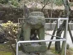 天之御中主神社の狛犬