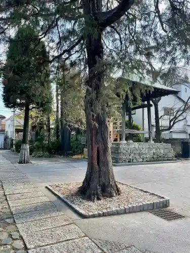 安養寺(東京都)