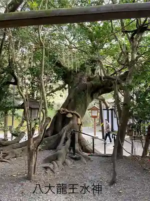 八大龍王水神(宮崎県)