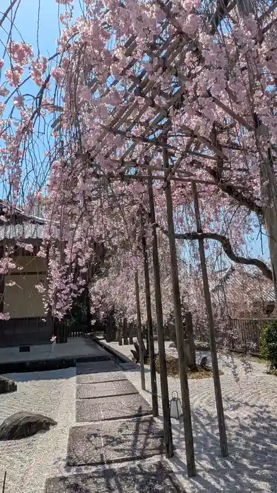圓光寺(京都府)