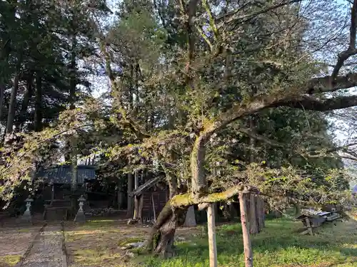 笠間神社(福井県)