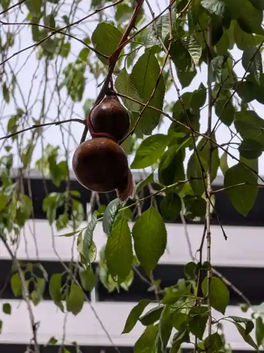 秋葉神社(東京都)