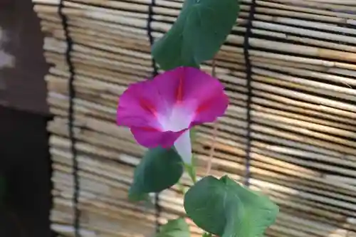 阿邪訶根神社の芸術