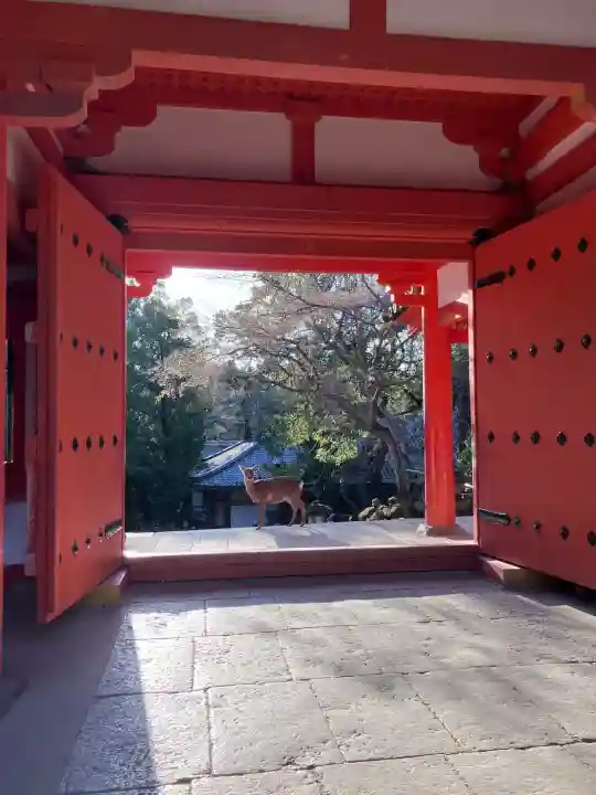 春日大社の{uncategorized: "未分類", other: "その他", undefined: "問題あり", building: "その他建物", grave: "お墓", sacred_gate: "鳥居", guardian: "狛犬", statue: "像", buddha: "仏像", history: "歴史", nature: "自然", garden: "庭園", animal: "動物", pagoda: "塔", temizu: "手水舎", mountain_gate: "山門・神門", sanctuary: "本殿・本堂", subordinate: "末社・摂社", art: "芸術", scenery: "景色", jizo: "地蔵", ema: "絵馬", goshuin: "御朱印", omikuji: "おみくじ", items: "授与品その他", amulet: "お守り", goshuincho: "御朱印帳", eats: "食事", festival: "お祭り", votive_dance: "神楽", shichigosan: "七五三参", wedding: "結婚式", experience: "体験その他", initially: "初詣", around: "周辺", anti_infection: "感染症対策"}