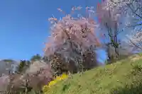 阿久津「田村神社」(郡山市阿久津町)旧社名:伊豆箱根三嶋三社の庭園