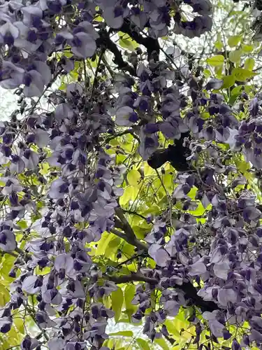 東長谷寺　薬王院(東京都)