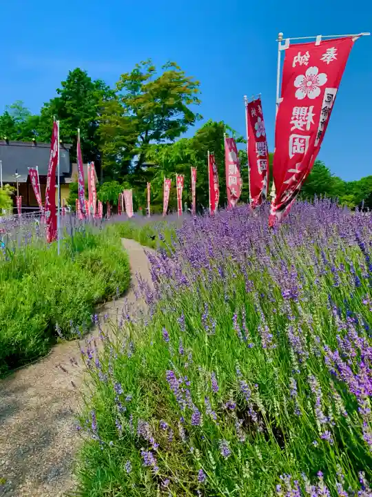 櫻岡大神宮の自然