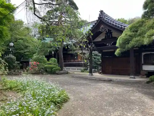 龍光寺(東京都)