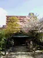 洲嵜神社の本殿・本堂