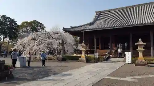 道成寺の自然