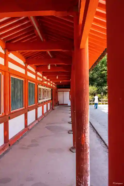 賀茂御祖神社(下鴨神社)(京都府)