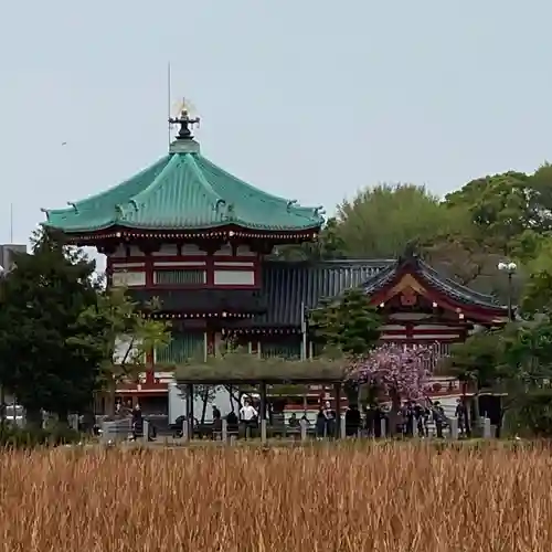 寛永寺不忍池弁天堂の本殿・本堂