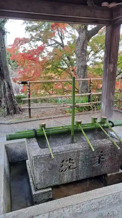 善峯寺の手水舎