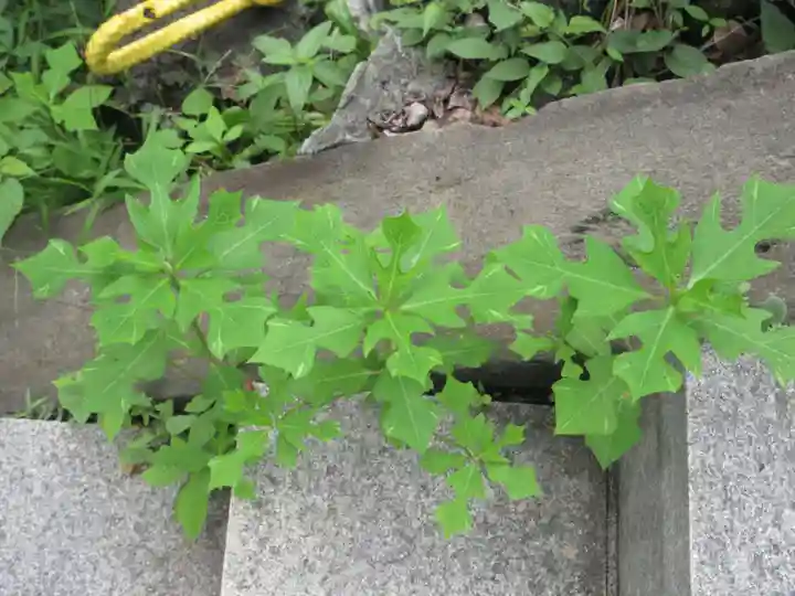 成田山横浜別院延命院(神奈川県)