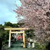 矢奈比賣神社(見付天神)の鳥居