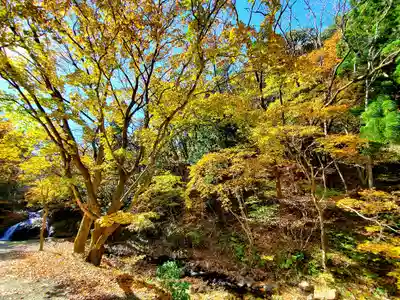 大峯不動尊の自然