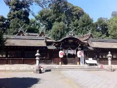 平野神社の本殿・本堂