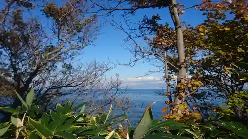 宮津弁天宮の景色