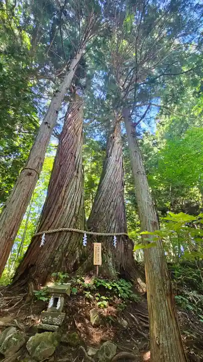 戸隠神社火之御子社(長野県)