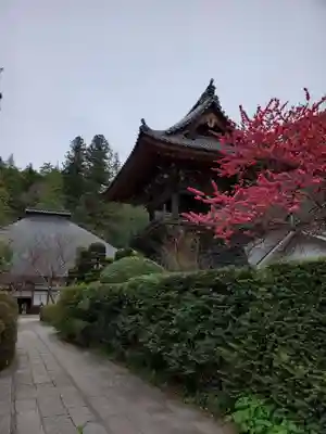 安楽寺のその他建物