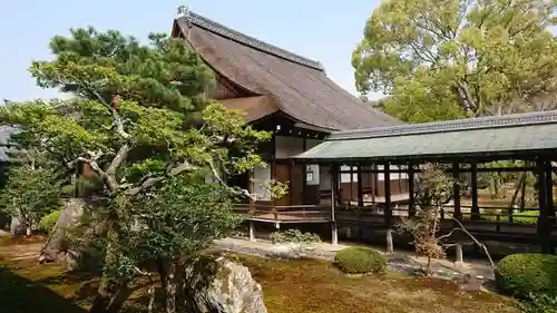 大覚寺の本殿・本堂