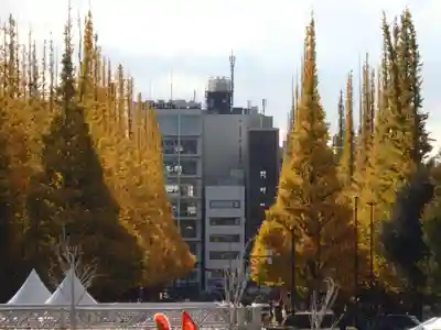 明治神宮(東京都)