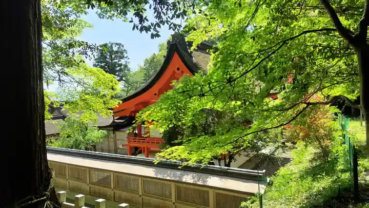 出雲大神宮(京都府)