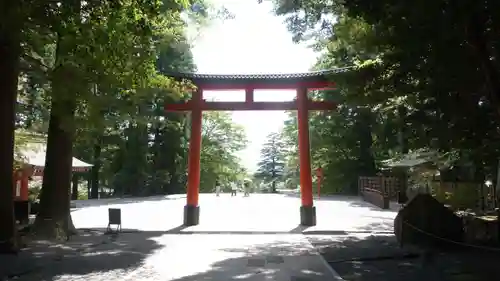 霧島神宮(鹿児島県)