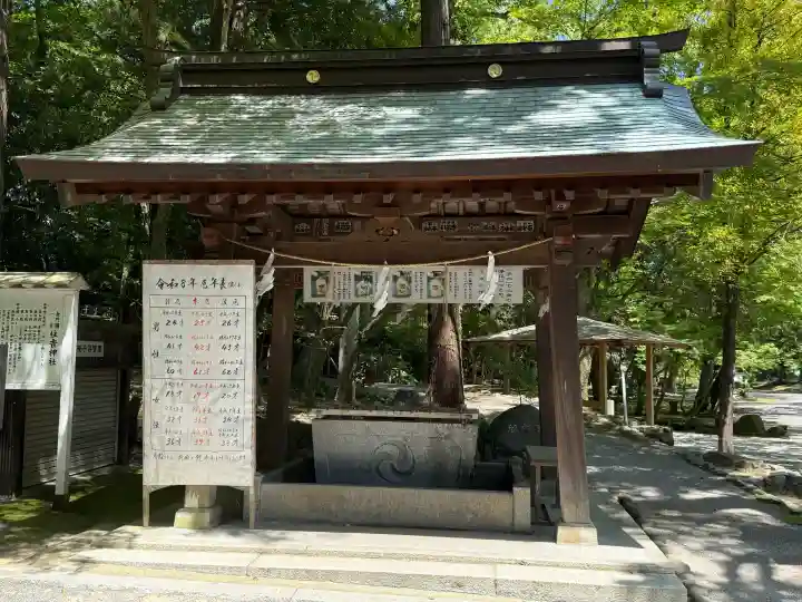 住吉神社の{uncategorized: "未分類", other: "その他", undefined: "問題あり", building: "その他建物", grave: "お墓", sacred_gate: "鳥居", guardian: "狛犬", statue: "像", buddha: "仏像", history: "歴史", nature: "自然", garden: "庭園", animal: "動物", pagoda: "塔", temizu: "手水舎", mountain_gate: "山門・神門", sanctuary: "本殿・本堂", subordinate: "末社・摂社", art: "芸術", scenery: "景色", jizo: "地蔵", ema: "絵馬", goshuin: "御朱印", omikuji: "おみくじ", items: "授与品その他", amulet: "お守り", goshuincho: "御朱印帳", eats: "食事", festival: "お祭り", votive_dance: "神楽", shichigosan: "七五三参", wedding: "結婚式", experience: "体験その他", initially: "初詣", around: "周辺", anti_infection: "感染症対策"}
