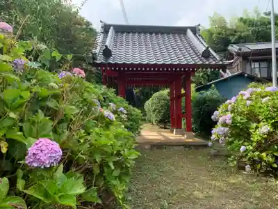妙照寺の山門・神門