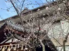 車折神社の自然