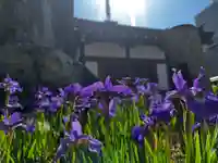 松本山 地福禅寺(滋賀県)