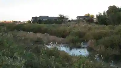 鵜川神社の自然