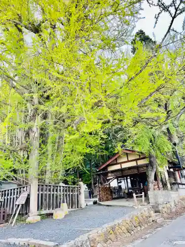 熊野大社(山形県)