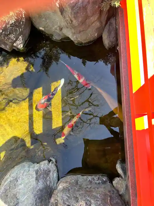蛇窪神社の動物