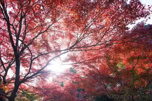 両足寺(山口県)