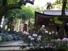 室生寺(奈良県)