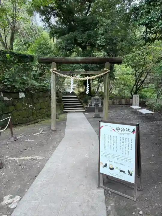 猫神社(鹿児島県)