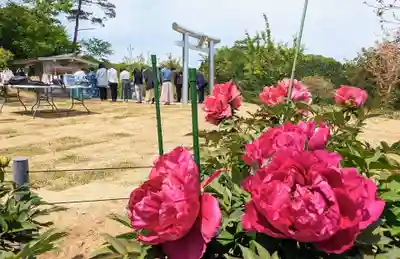 金蛇水神社(宮城県)
