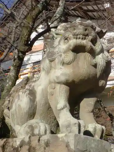 宇治神社の狛犬