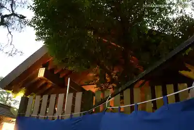 伊勢山皇大神宮の本殿・本堂