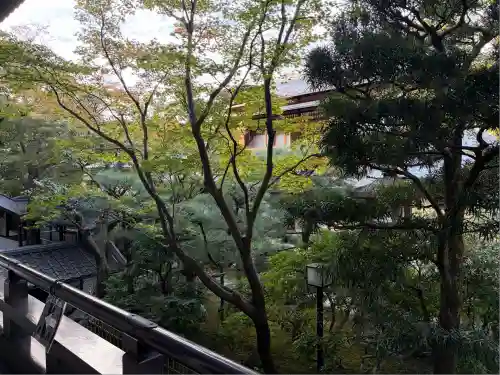 大雲院(京都府)